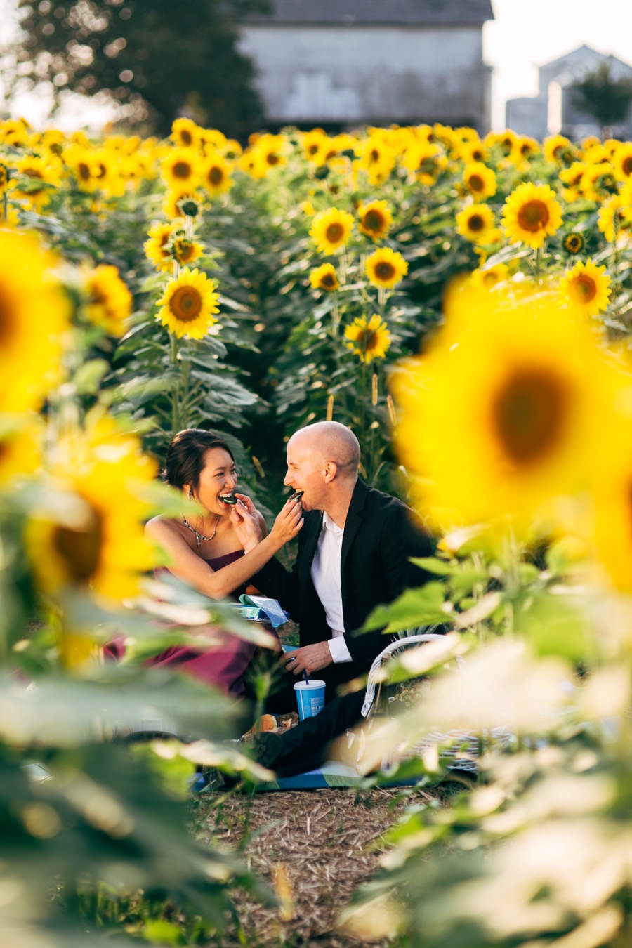 Malisa + Mat | Sunflower Field Engagement | Washington DC Wedding Photography