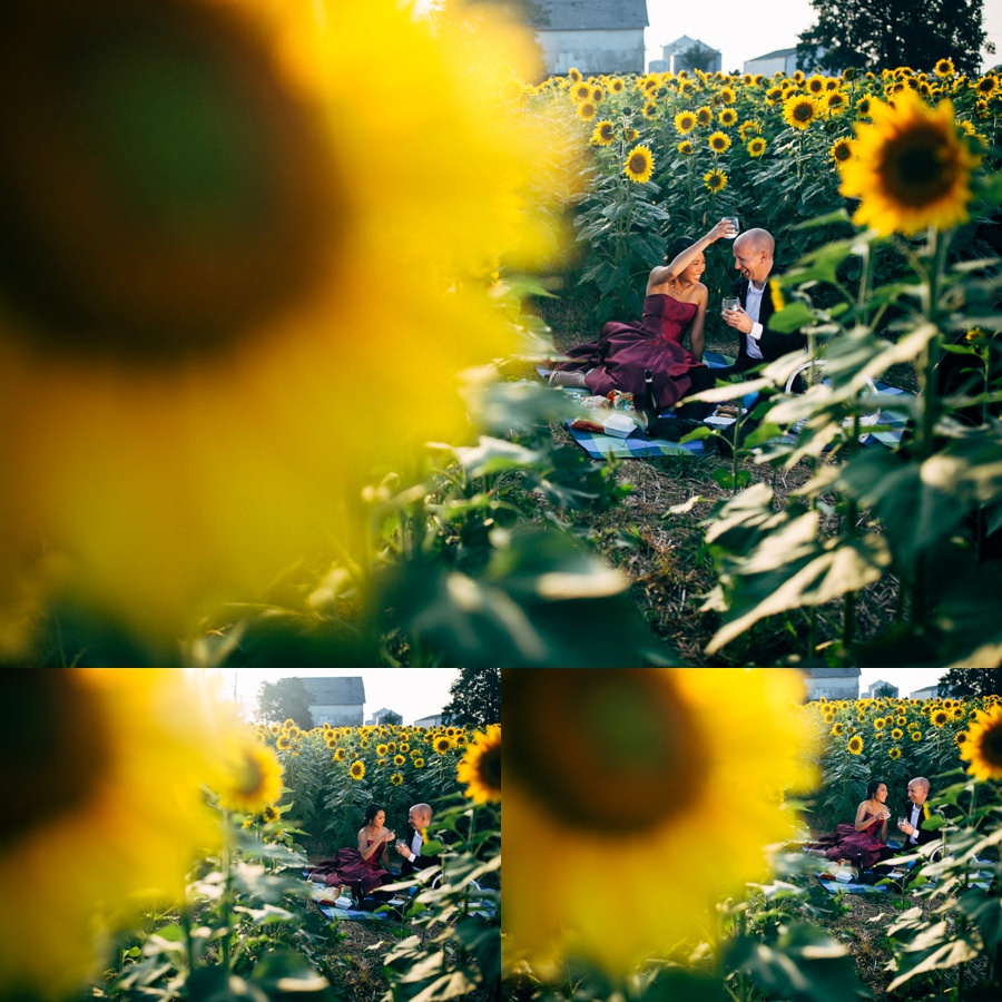 Malisa + Mat | Sunflower Field Engagement | Washington DC Wedding Photography
