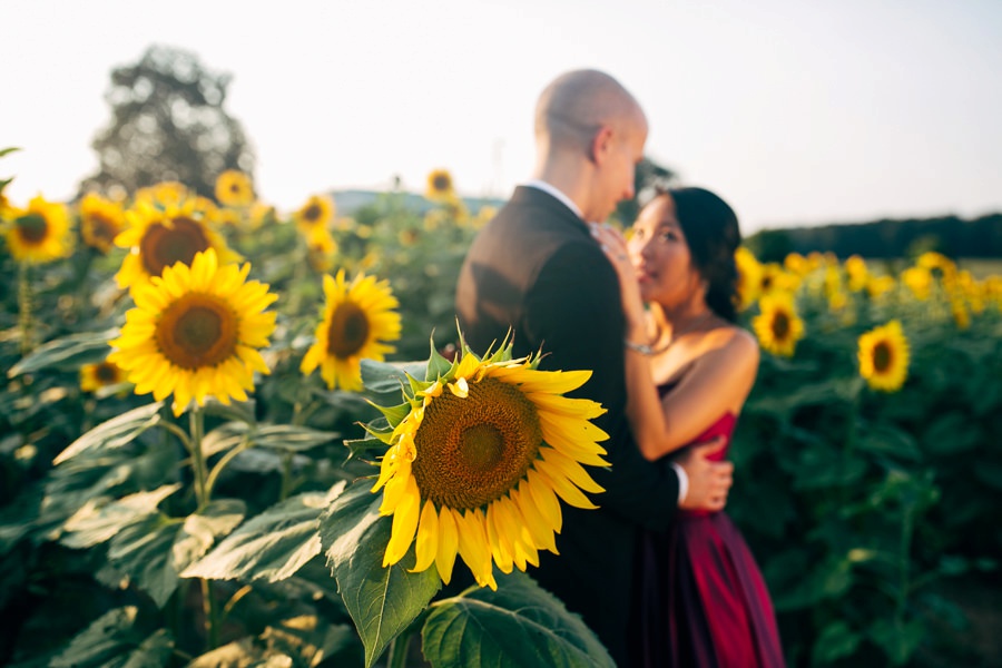 Malisa + Mat | Sunflower Field Engagement | Washington DC Wedding Photography