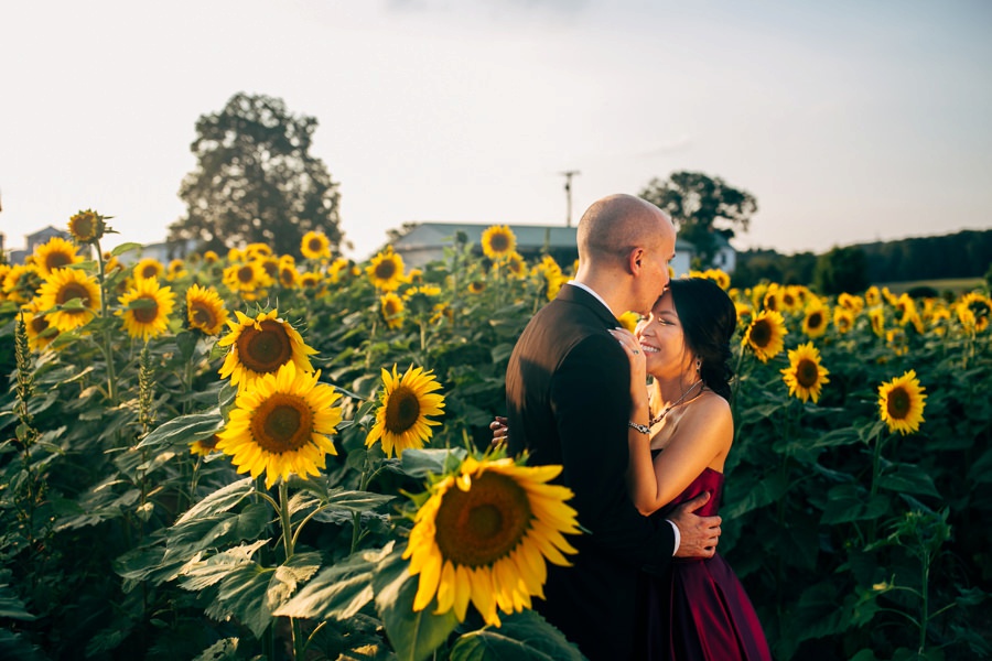 Malisa + Mat | Sunflower Field Engagement | Washington DC Wedding Photography