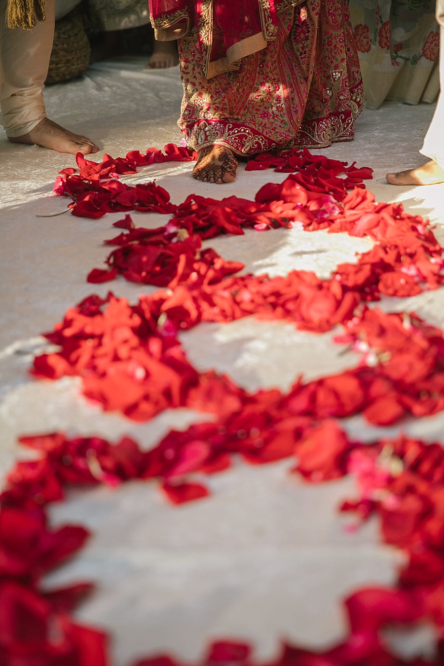 washington dc indian persian wedding